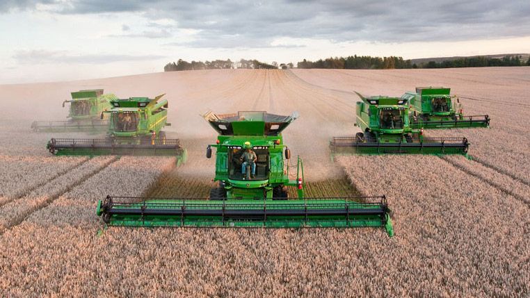 Multiple combines harvesting a corn field.